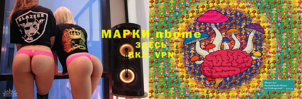 PSILOCYBIN Заволжье