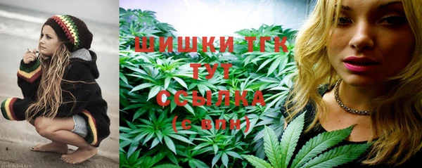 PSILOCYBIN Заволжье