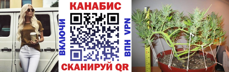 Бошки Шишки Bruce Banner Кодинск